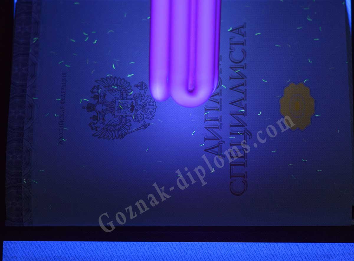 Диплом специалиста 2014-2026